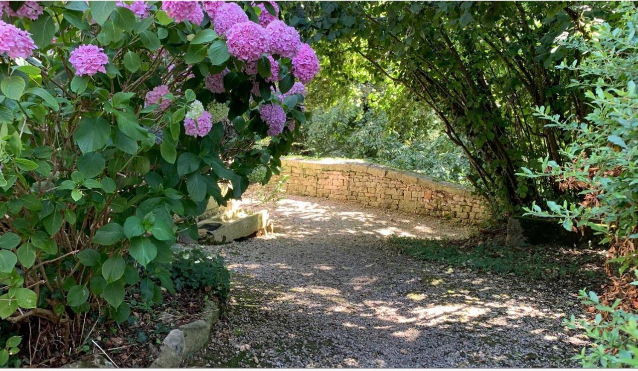 Mazette! Le Chateau Bed and Breakfast Niort Buitenkant foto