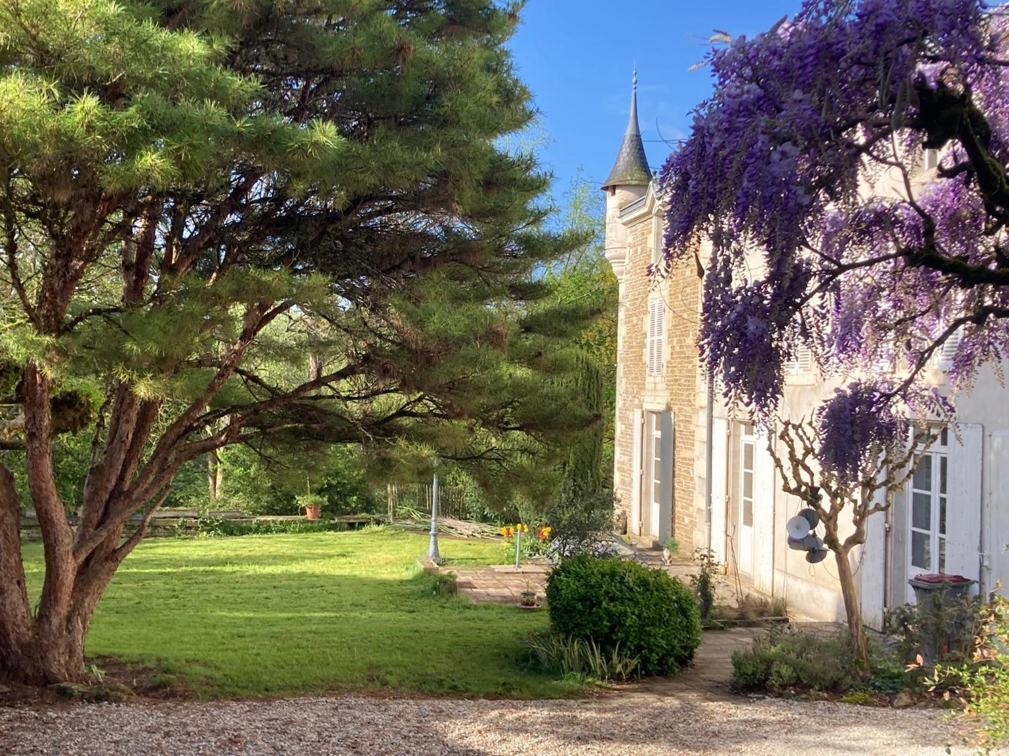 Mazette! Le Chateau Bed and Breakfast Niort Buitenkant foto